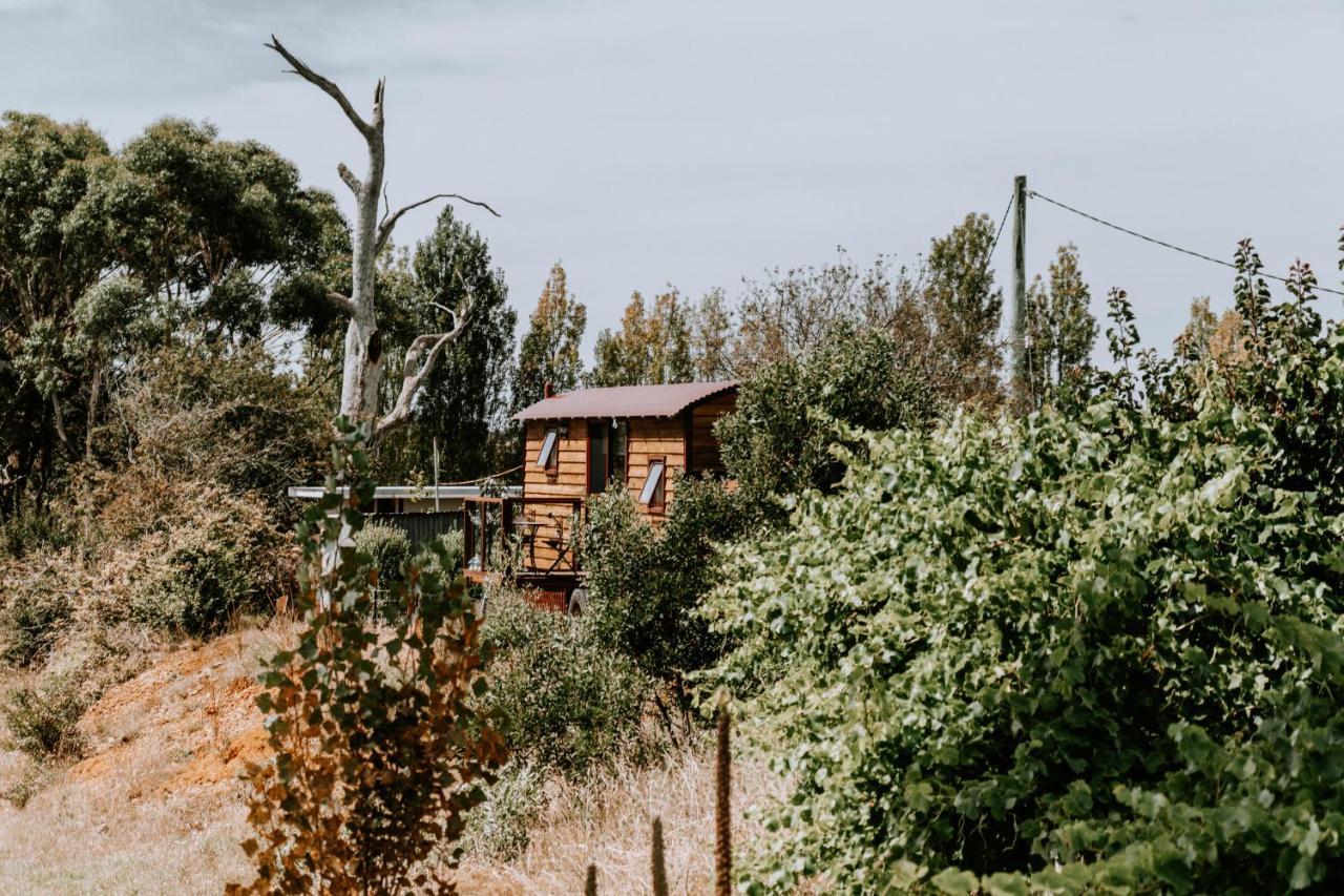 Belmont Homestead Swansea Buitenkant foto
