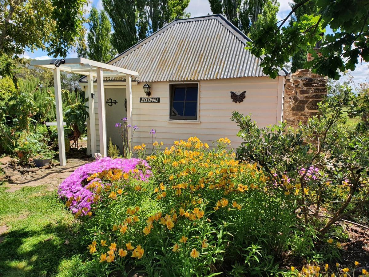 Belmont Homestead Swansea Buitenkant foto